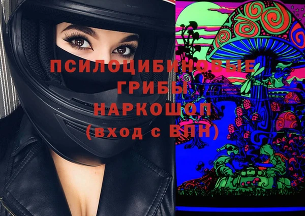 apvp Вязники